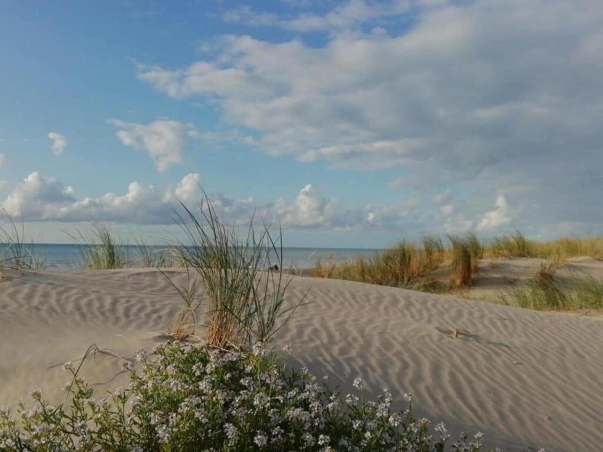 Chic Chalet In Quend Plage Les Pins With Barbecue Екстер'єр фото
